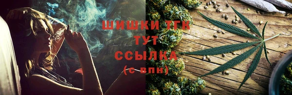 СК Горнозаводск