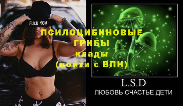 СК Горнозаводск